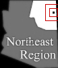 mini location map