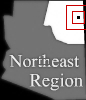 mini location map