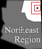 mini location map