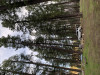C550BD6E-6E5A-4273-8085-1A1D6AD595D2.jpeg