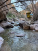 IMG_3538.jpeg