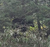 20240625_190126.jpg