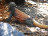 DSCN4848.JPG