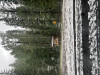 IMG_3105.jpeg