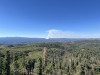 IMG_3319.jpeg