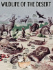 desert animals.jpg