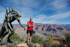 CanyonInsects01.jpg