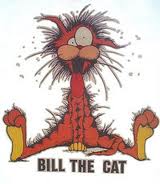 bill.jpg
