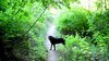 Dry Creek - Molly #2.jpg