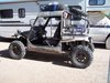 The buggy