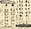 Animal Tracks