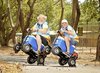 Esky Scooter