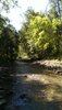 Mogollon Creek - Just west of Tepee Canyon