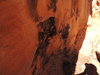DSCN0570.JPG