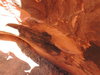 DSCN0572.JPG