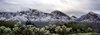 Pusch Ridge Snow.jpg
