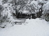 IMG_0036.JPG