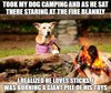 dog_toys.jpg