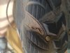 20170211_103853.jpg