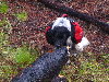 CanyonCreek024.jpg