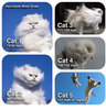 catscale.jpg