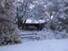 IMG_0251.JPG