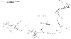 img19med.gif