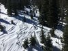 Wolf Creek