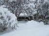 IMG_0474.JPG