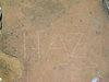DSCN3359_edited-1.jpg