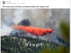 C8001418-6914-4E3A-98FD-239EA5B93F76.jpeg