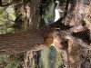DDCA1625-D3C7-41EA-B35D-881DD84DEAFD.jpeg