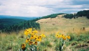 photo thumbnail #13