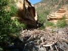 photo thumbnail #2