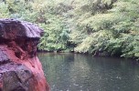 photo thumbnail #4