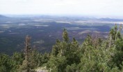 photo thumbnail #12