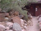 photo thumbnail #3