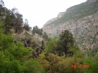 photo thumbnail #5