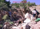 photo thumbnail #8