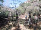 photo thumbnail #6