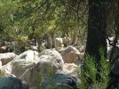 photo thumbnail #9