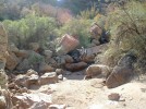 photo thumbnail #11