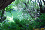photo thumbnail #14