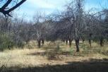 photo thumbnail #14