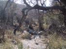 photo thumbnail #11