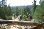 photo thumbnail #2