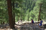 photo thumbnail #4