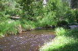 photo thumbnail #5