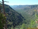 photo thumbnail #4