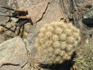 photo thumbnail #10